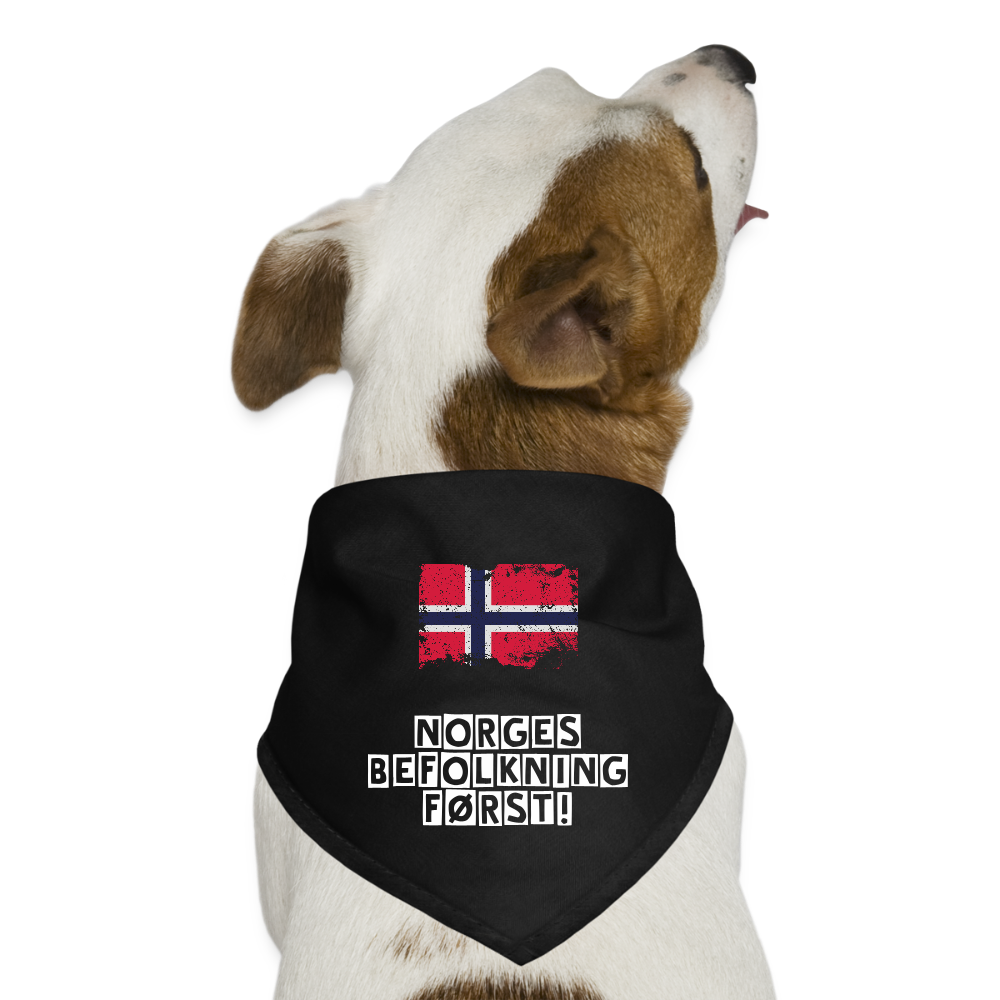 Bandana til hund - black